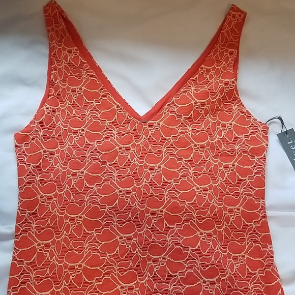 Velvet by Graham and Spencer Women's Mesh Vneck L - Picture 2 of 8